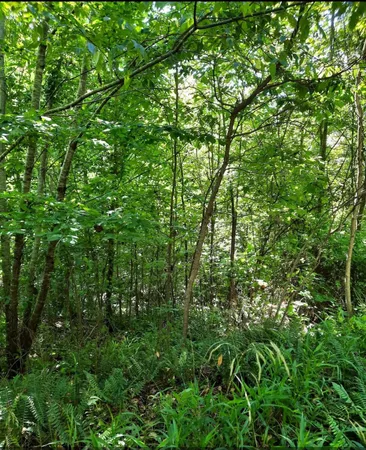 $700,000 | 1774 Owl Creek Road, Lucasville, OH 45648