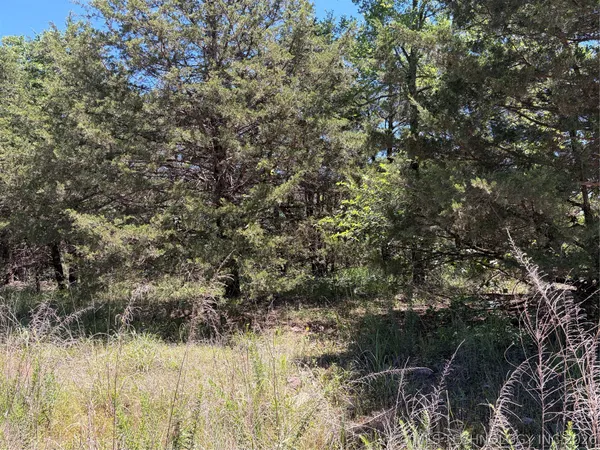 $45,000 | John's Valley Road, Moyers, OK 74557