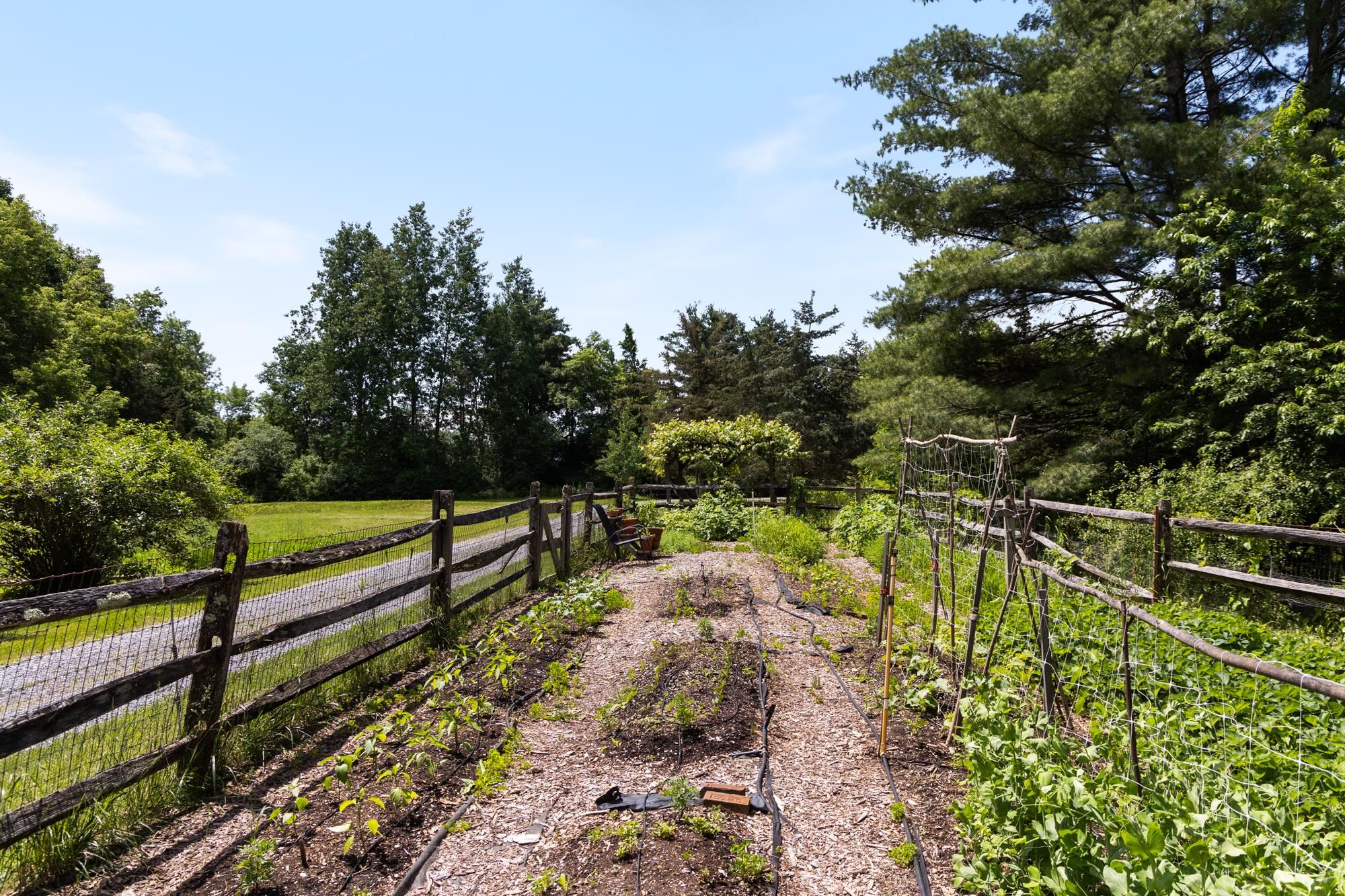 777 Mt Philo Road Shelburne, VT 05482 - Photo 55 of 60
