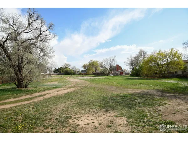 a view of yard with green space