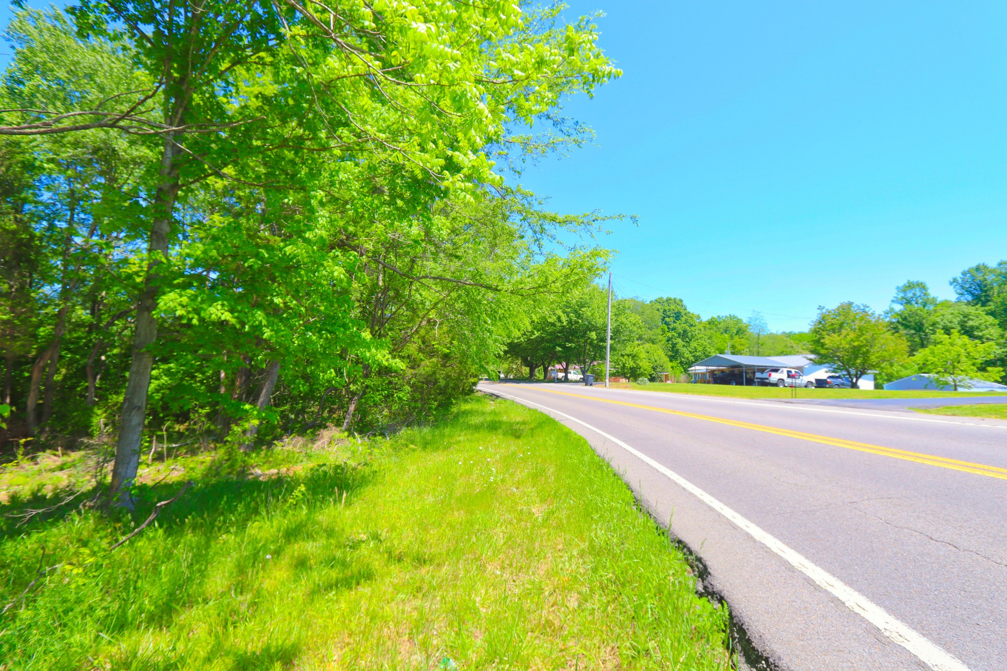 83 Gamaliel Road Red Boiling Springs, TN 37150 - Photo 5 of 6 a view of a street