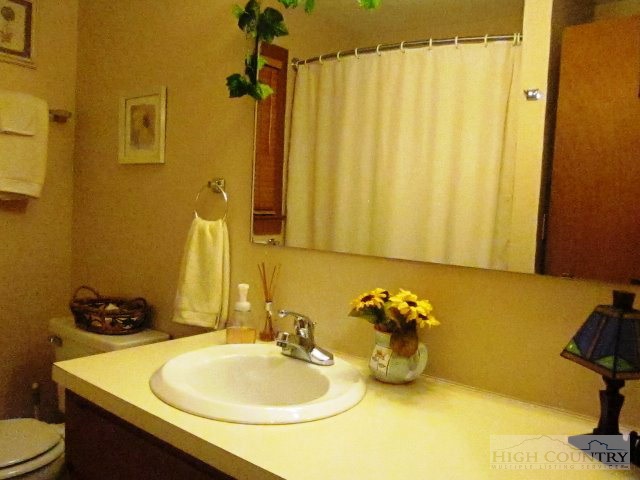 1684 Little Laurel Road Boone, NC 28607 - Photo 3 of 25