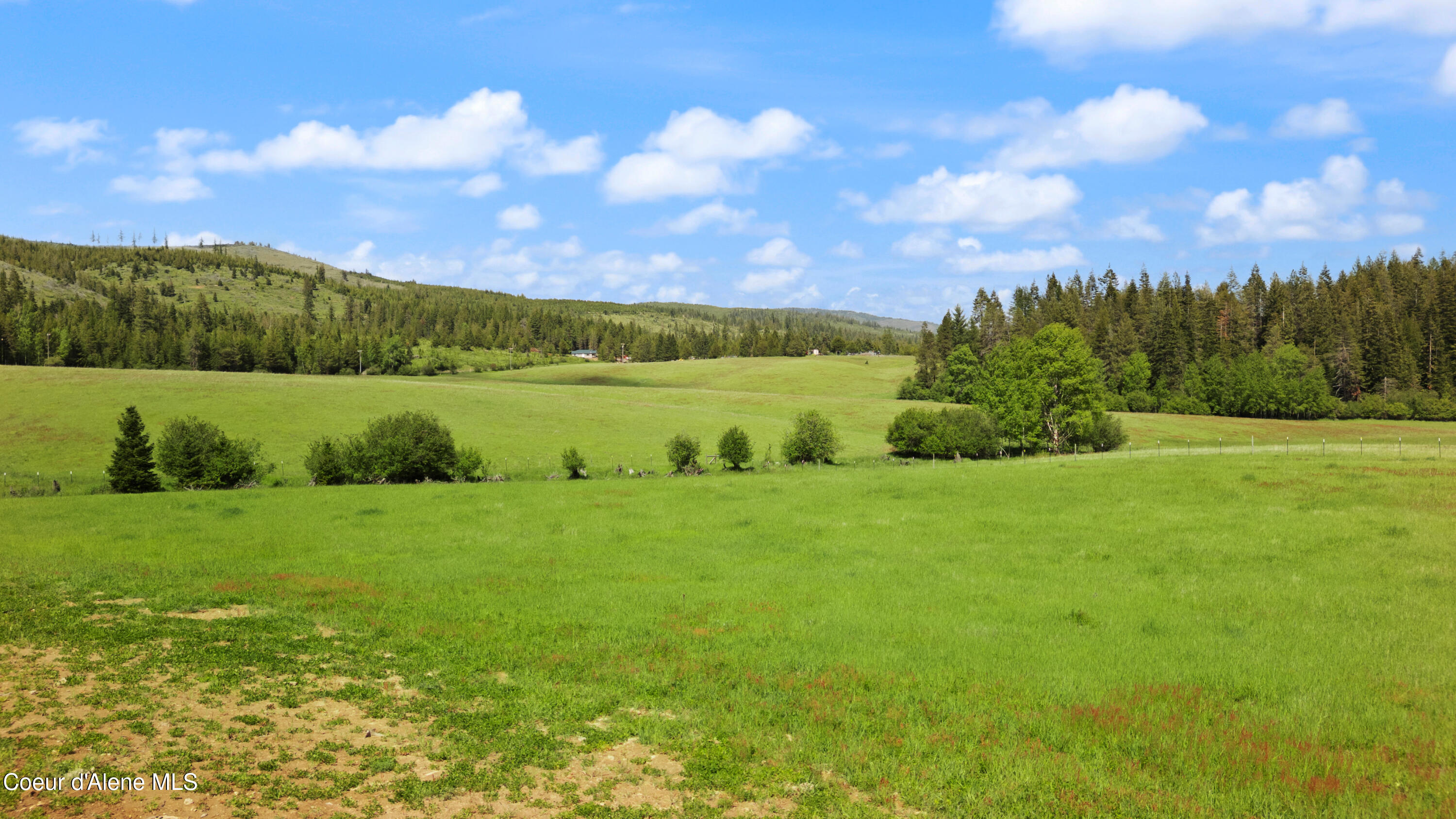 88 Alder Creek Loop Road St. Maries, ID 83861 - Photo 91 of 95 Copy of DJI_0883