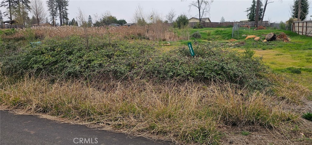 a view of a field of grass and trees
