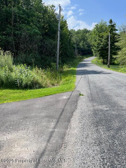 260 Johnson Hl Road Carbondale, PA 18407 - Photo 46 of 48