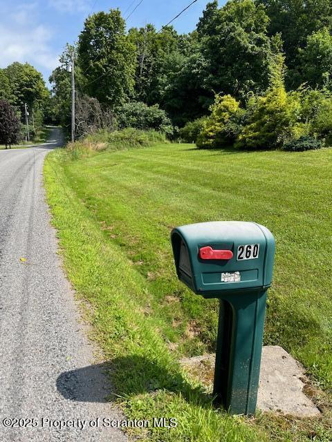 260 Johnson Hl Road Carbondale, PA 18407 - Photo 47 of 48 a view of a garden with plants