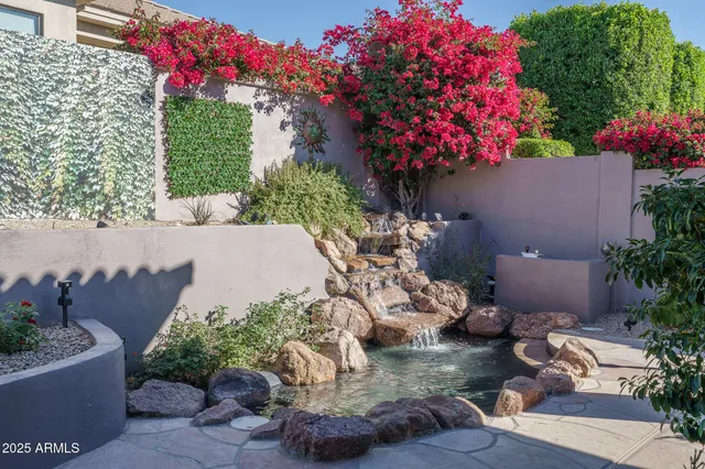 a garden view with potted plants