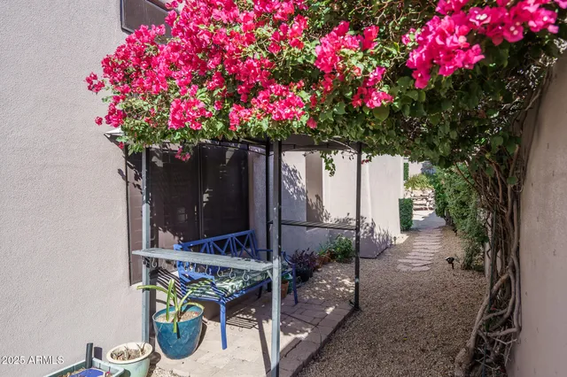 a small garden covered with tall trees