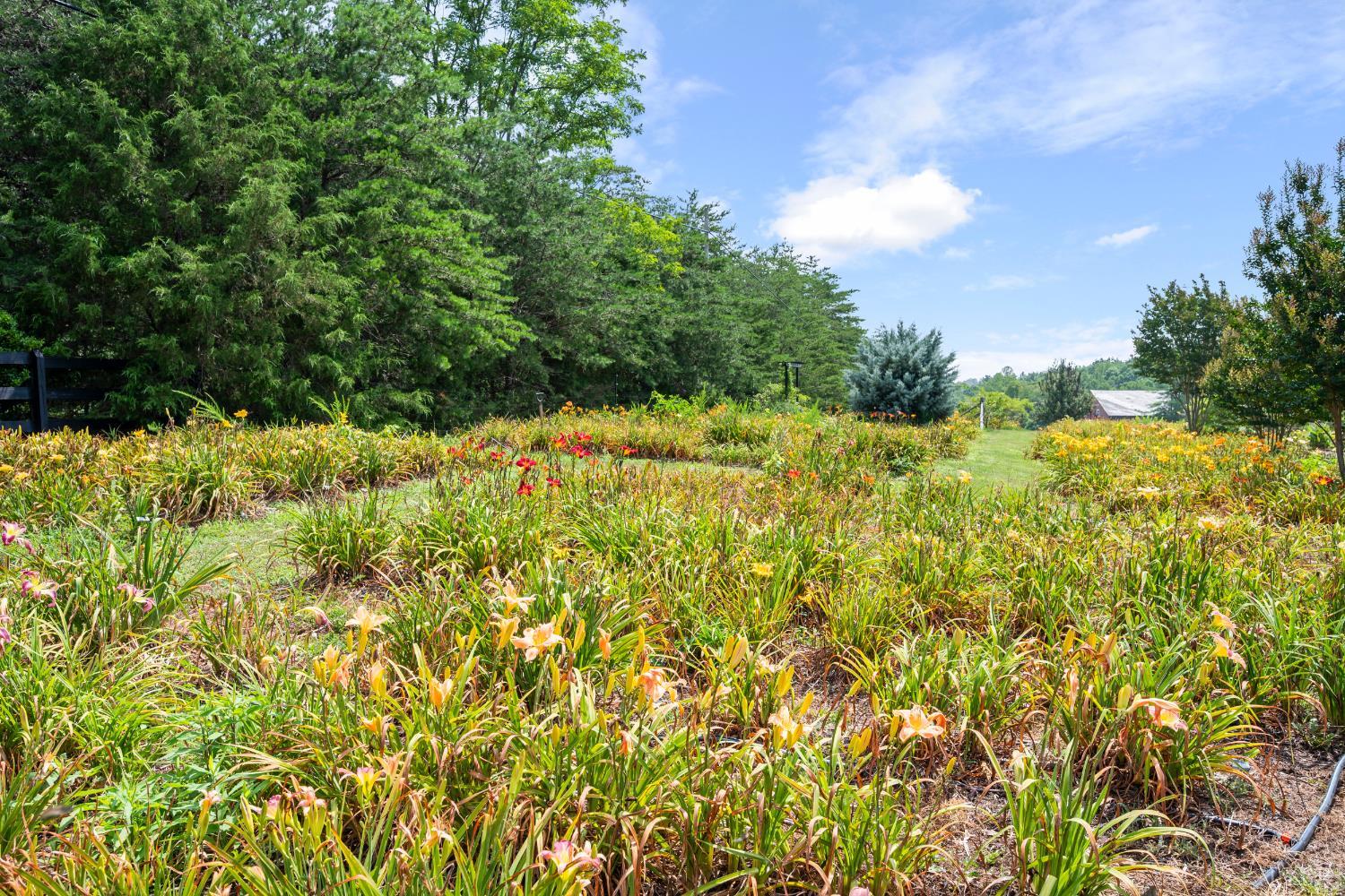 3227 Elon Road Monroe, VA 24574 - Photo 34 of 57