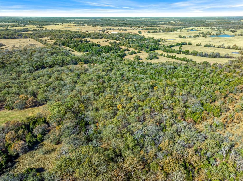 2145 Vz County Road 2145 Canton, TX 75103 - Photo 11 of 20 a view of an outdoor space with a lake view