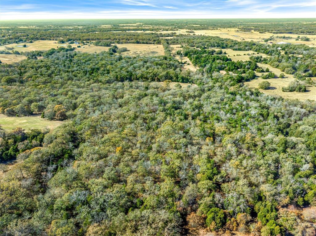 2145 Vz County Road 2145 Canton, TX 75103 - Photo 13 of 20 a view of a field with an ocean