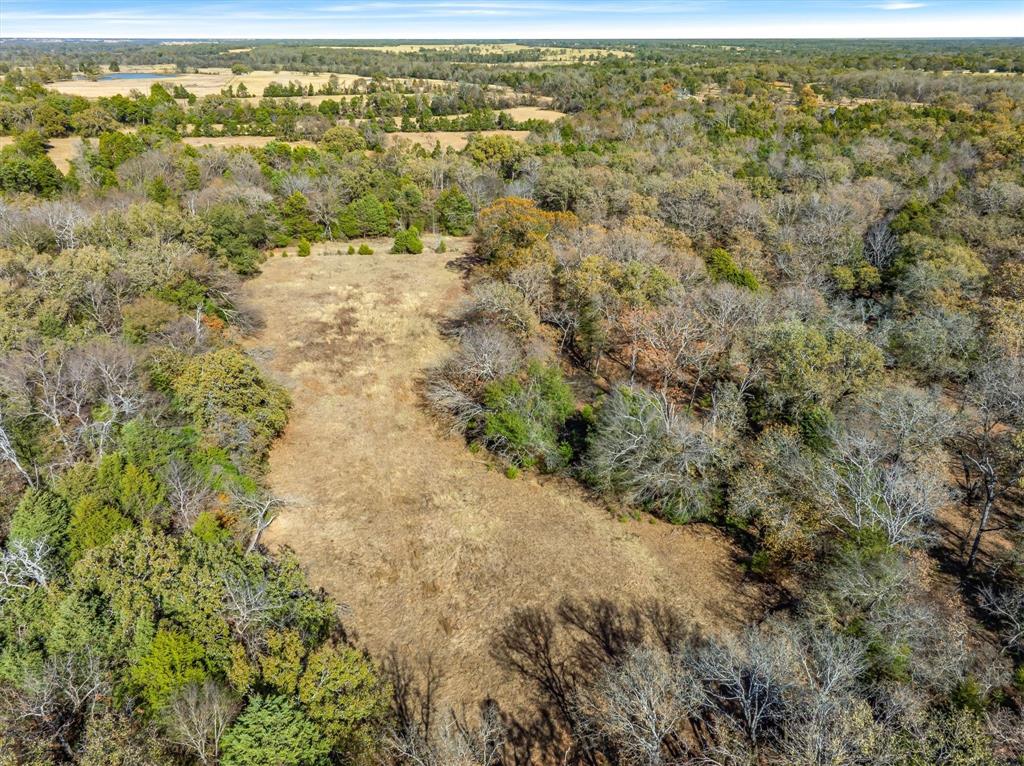 2145 Vz County Road 2145 Canton, TX 75103 - Photo 14 of 20 a view of a yard with an outdoor space