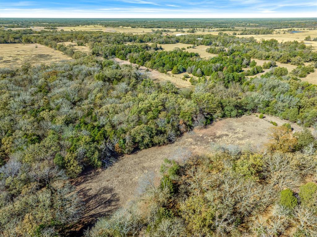 2145 Vz County Road 2145 Canton, TX 75103 - Photo 15 of 20 a view of a yard with an ocean
