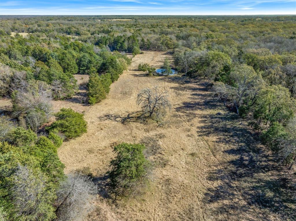 2145 Vz County Road 2145 Canton, TX 75103 - Photo 7 of 20 a view of a yard with a tree