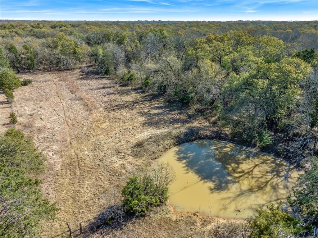 2145 Vz County Road 2145 Canton, TX 75103 - Photo 8 of 20 a view of a forest with a mountain