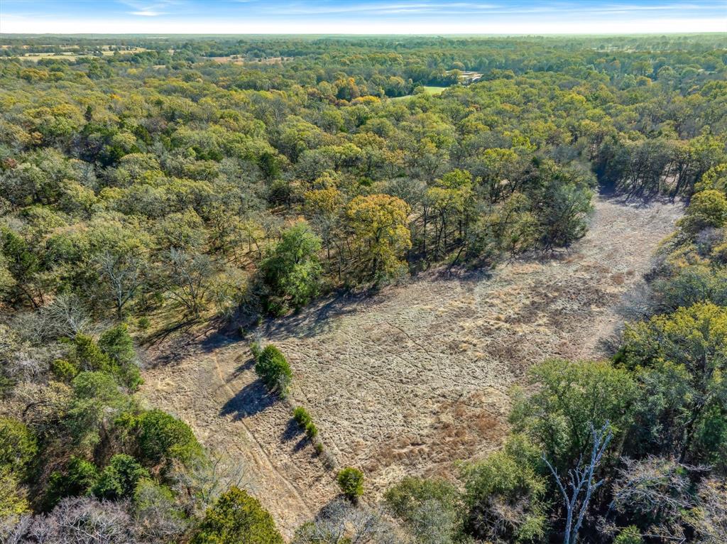 2145 Vz County Road 2145 Canton, TX 75103 - Photo 9 of 20 a view of a yard with a mountain