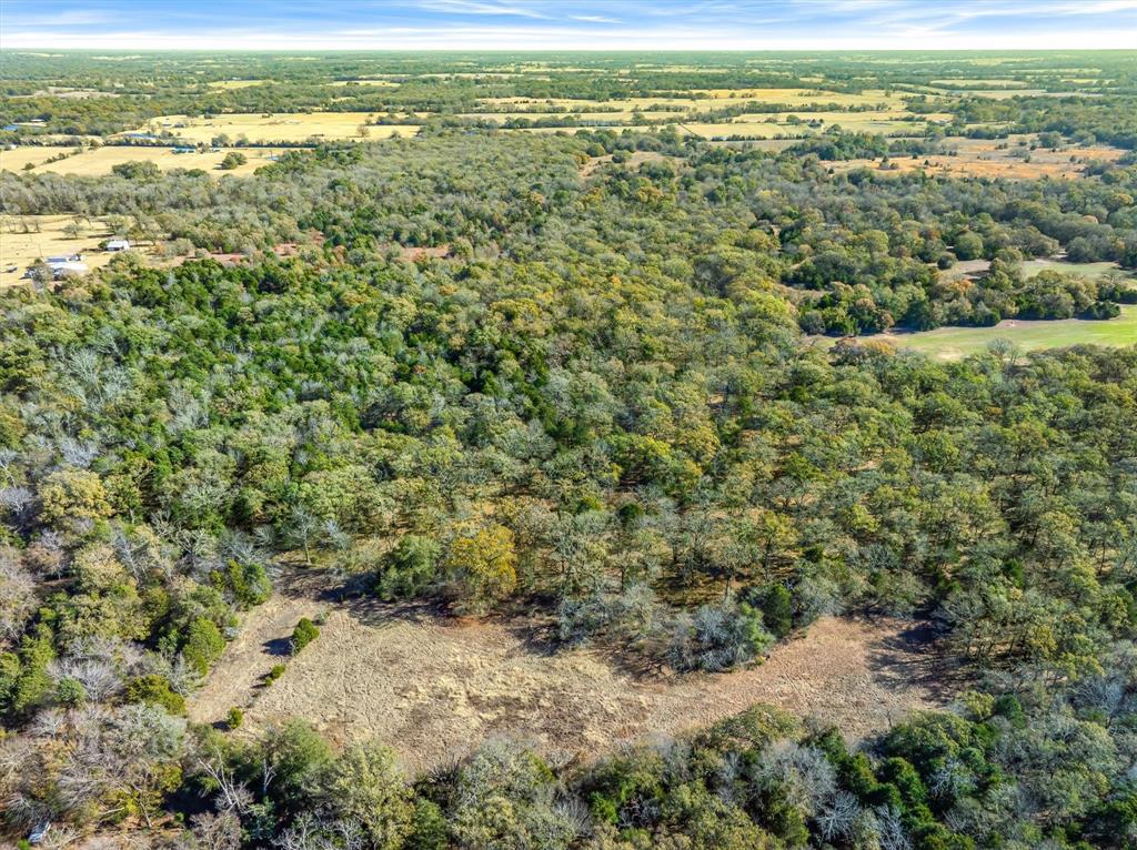 2145 Vz County Road 2145 Canton, TX 75103 - Photo 10 of 20 a view of a yard with an outdoor space