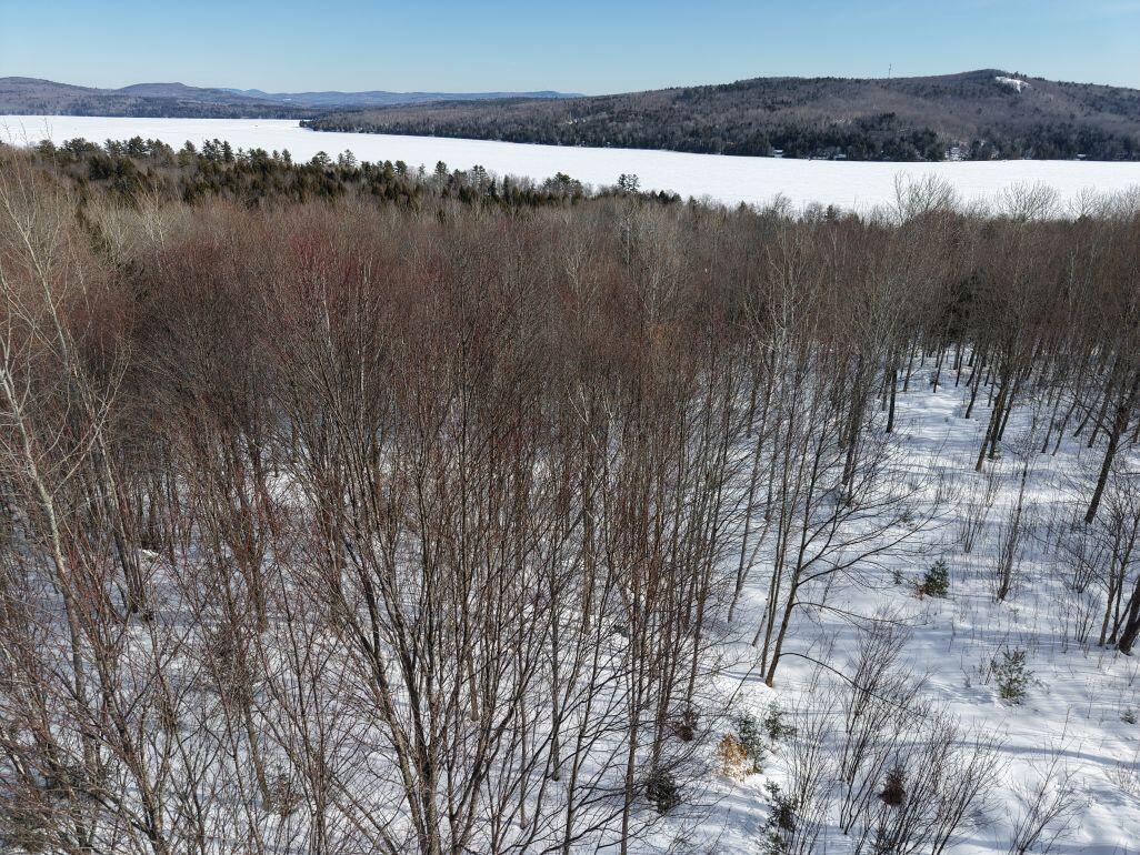 M7-l13-1 Pine Bluff Road Embden, ME 04958 - Photo 11 of 22