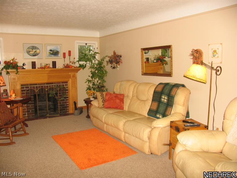 9171 Island Road North Ridgeville, OH 44039 - Photo 3 of 15 Gallery Image 3