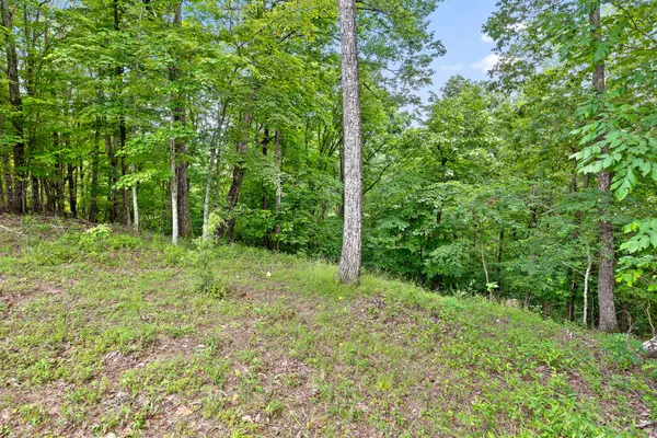 $65,000 | 0 Preservation Drive, Unit 28, South Pittsburg, TN 37380