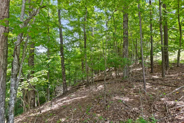 $65,000 | 0 Preservation Drive, Unit 28, South Pittsburg, TN 37380