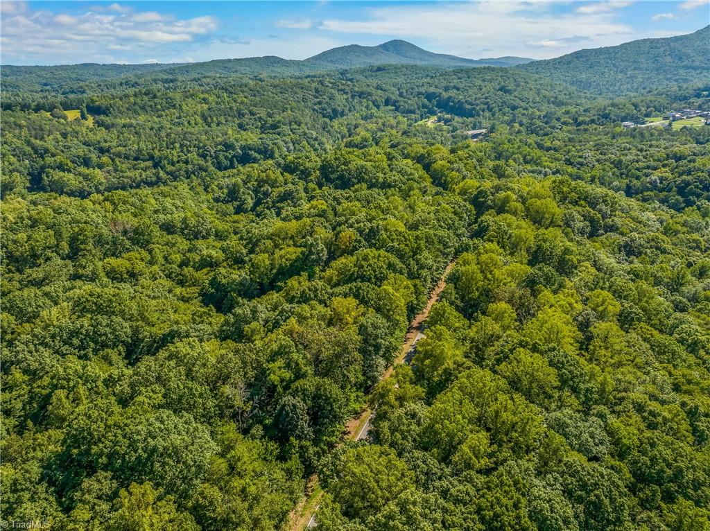 0 Sheppard Mill Road Danbury, NC 27016 - Photo 3 of 10 Gallery Image 3