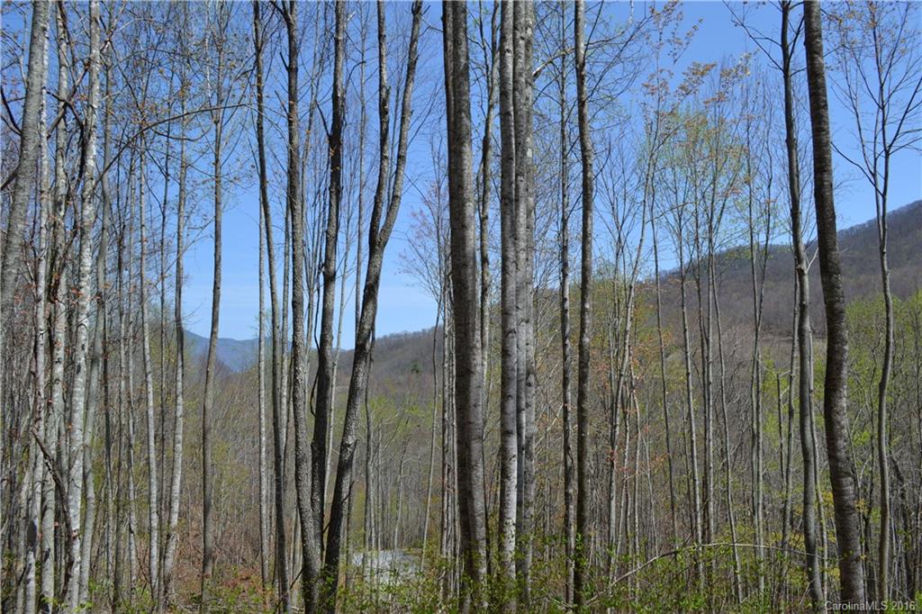 1413 East Clubhouse Road, Unit 72 Sylva, NC 28779 - Photo 1 of 6 Gallery Image 1