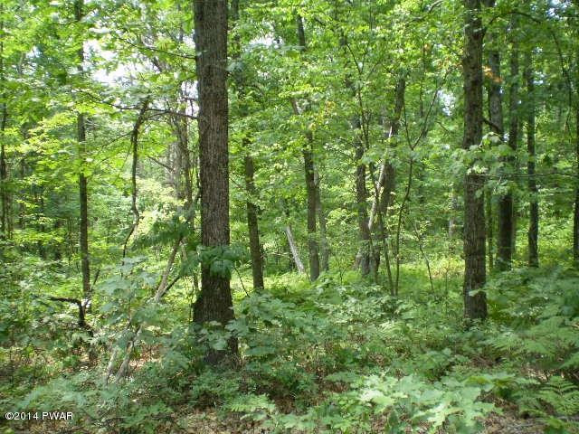 7.6 Humphrey Road Middletown, NY 10940 - Photo 6 of 6