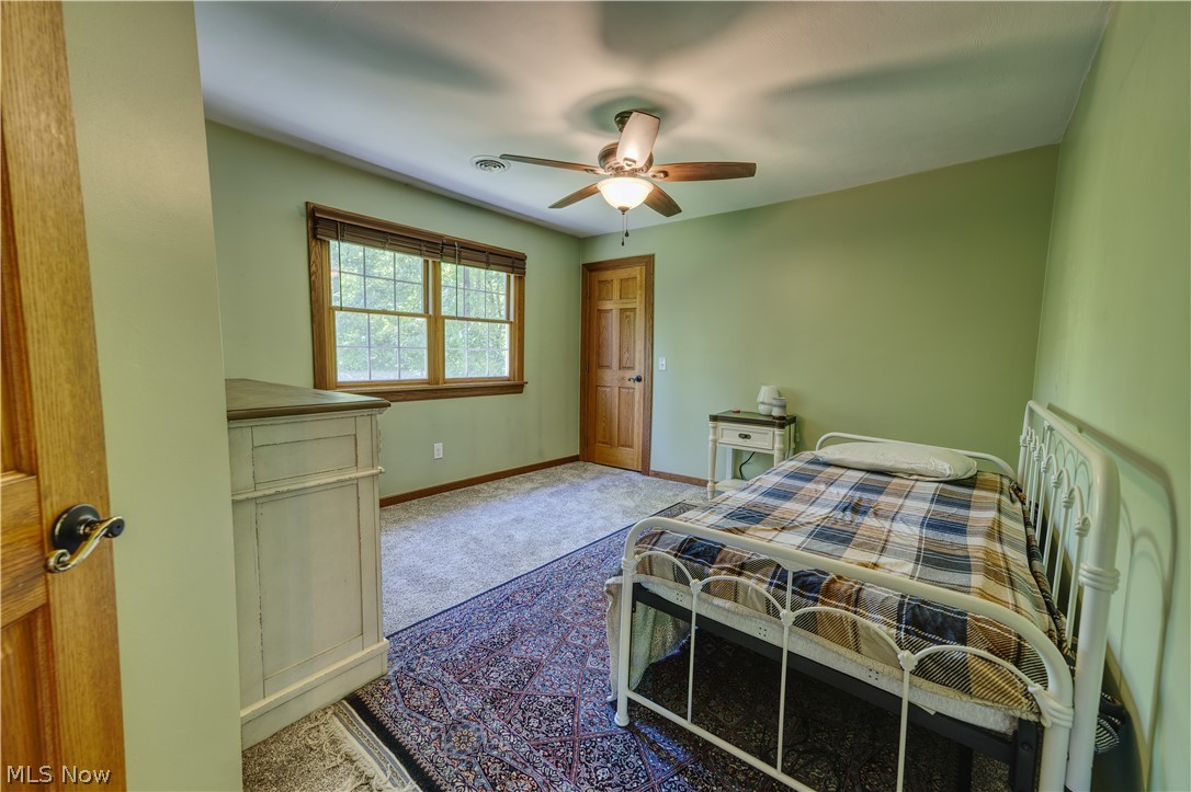 8744 Tippecanoe Road Canfield, OH 44406 - Photo 21 of 46