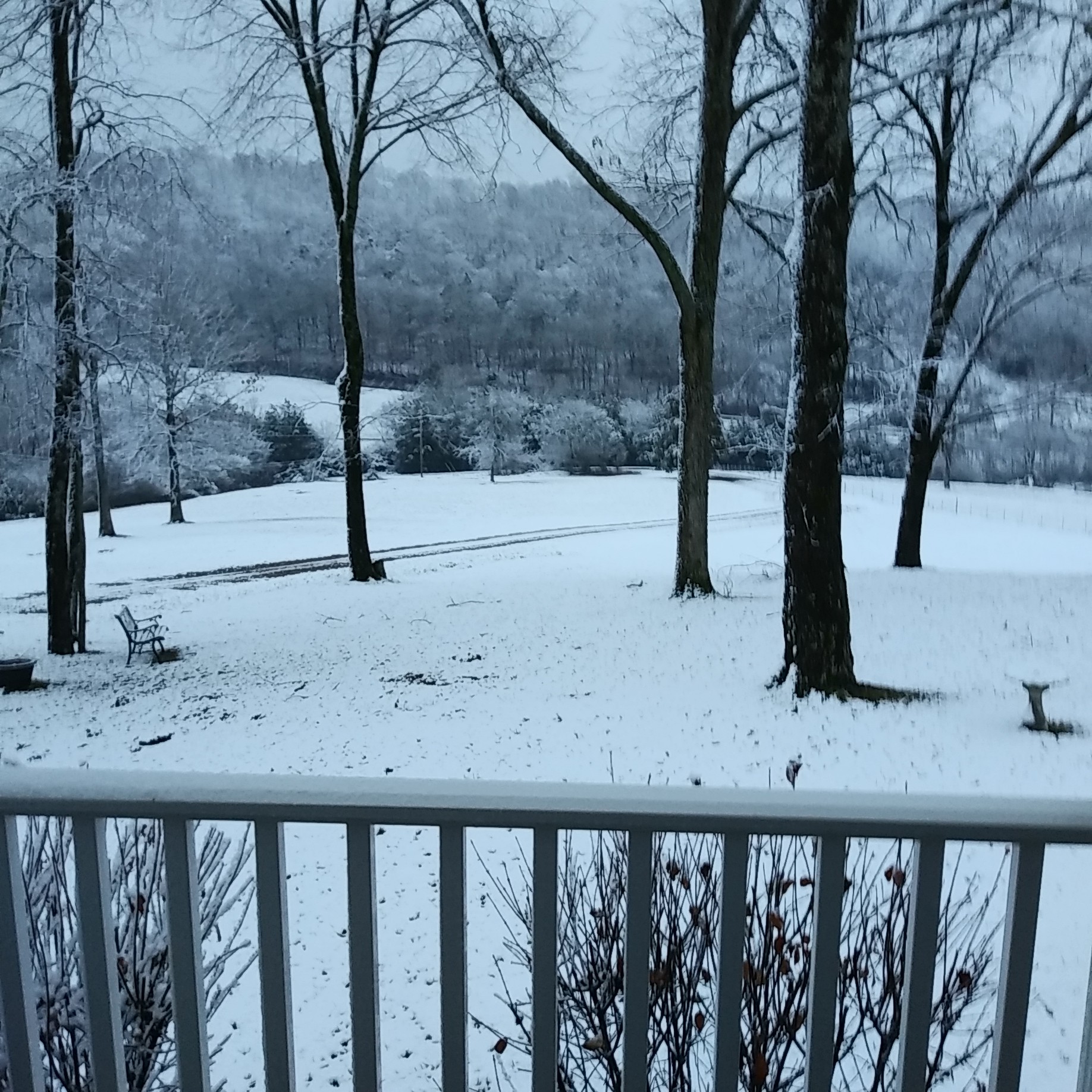 2865 Springplace Road Belfast, TN 37019 - Photo 67 of 75