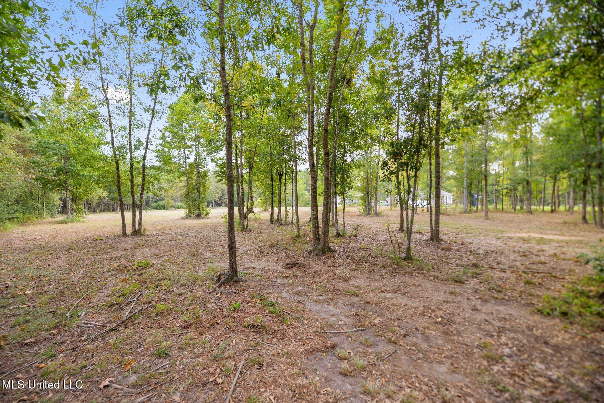 12091 School Road Saucier, MS 39574 - Photo 11 of 18 010