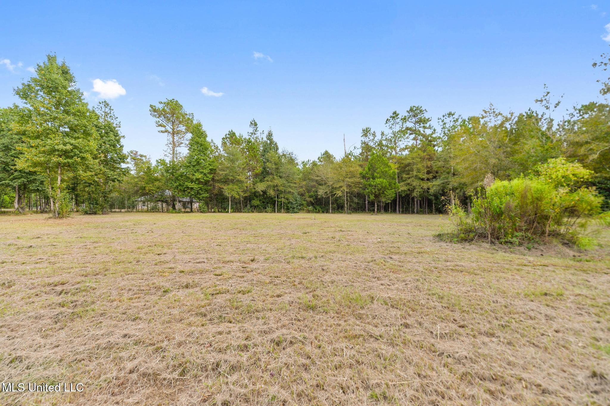 12091 School Road Saucier, MS 39574 - Photo 16 of 18 015