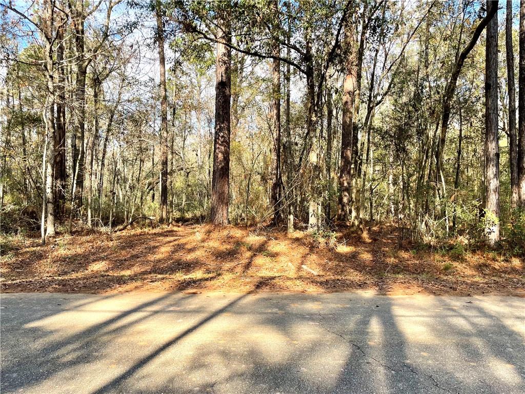 0 Charles Kelly Road Bush, LA 70431 - Photo 1 of 6 Gallery Image 1