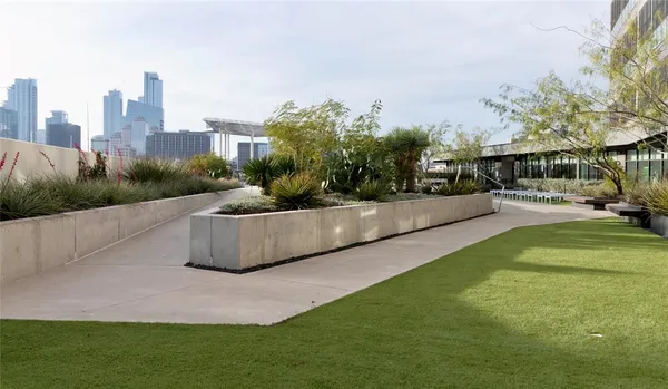 a view of a backyard with plants and a garden