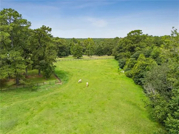 $1,150,000 | 84132 Holliday Road, Folsom, LA 70437