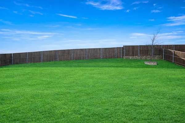 a view of a yard