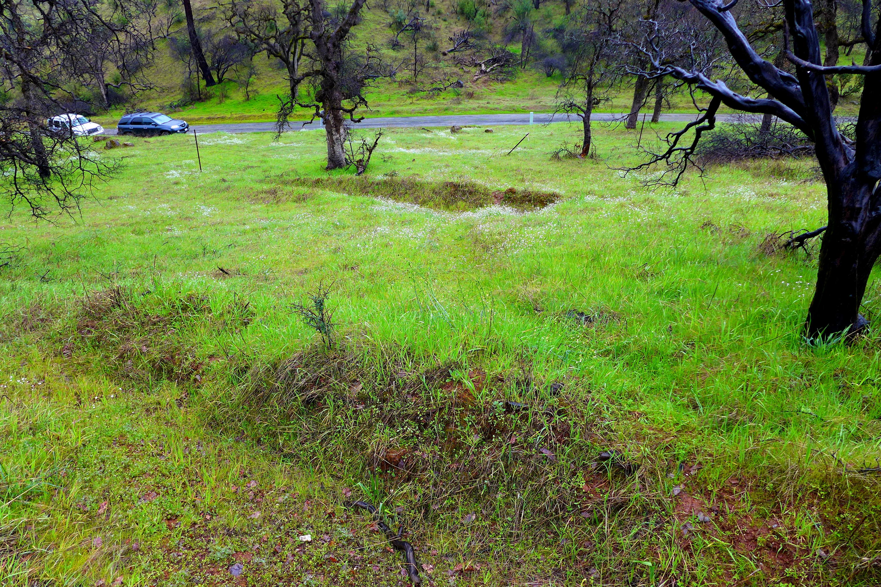 79.5-ac Bully Choop Road Igo, CA 96047 - Photo 1 of 8 a view of yard with a tree