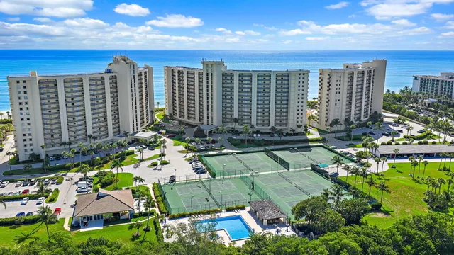 a view of backyard with a table and chairs and potted plants