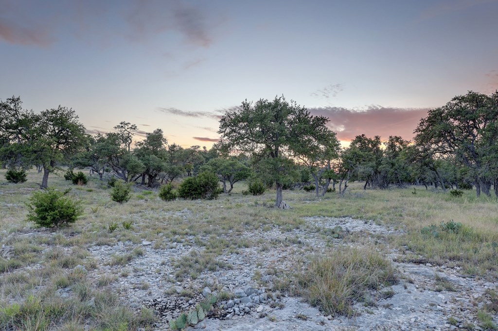 0 Stevens Ranch Road Harper, TX 78631 - Photo 14 of 31
