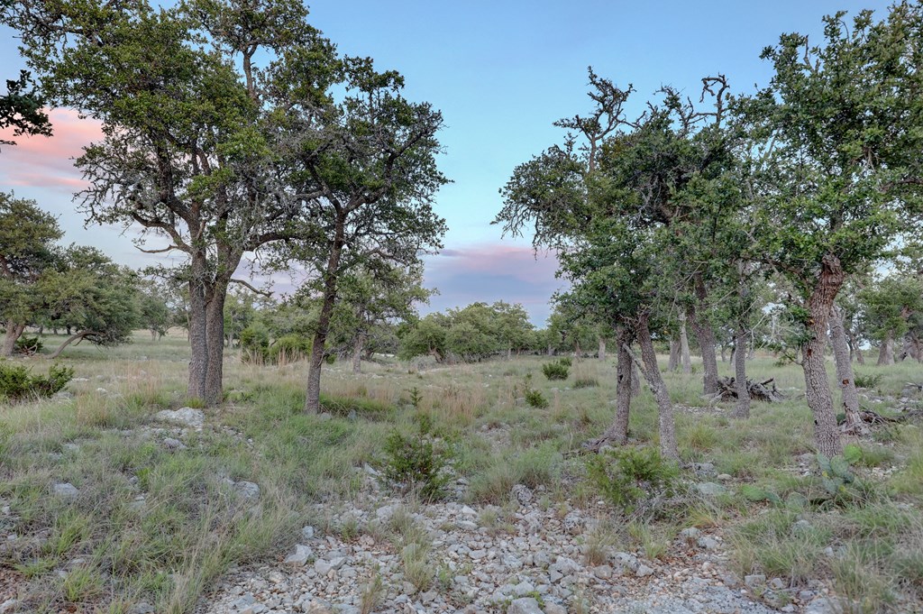 0 Stevens Ranch Road Harper, TX 78631 - Photo 15 of 31