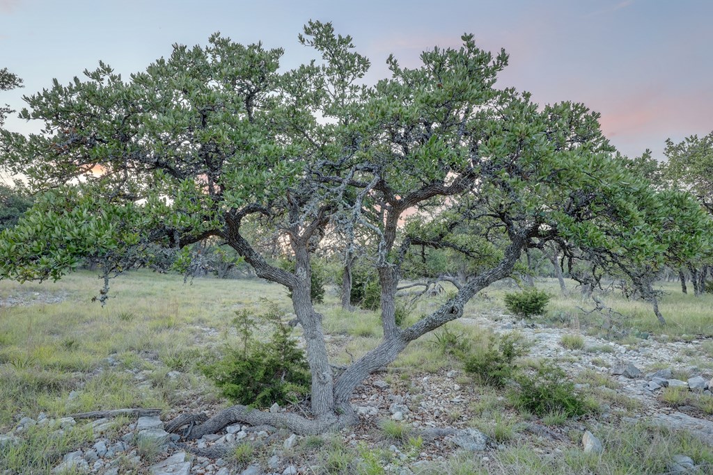 0 Stevens Ranch Road Harper, TX 78631 - Photo 16 of 31