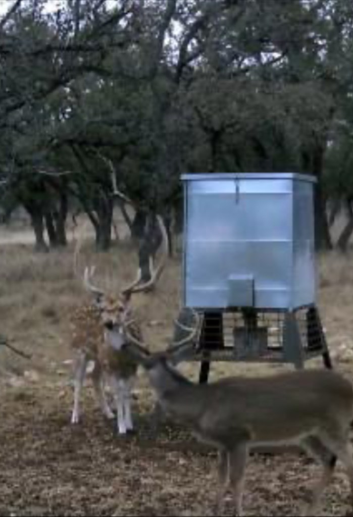 0 Stevens Ranch Road Harper, TX 78631 - Photo 22 of 31