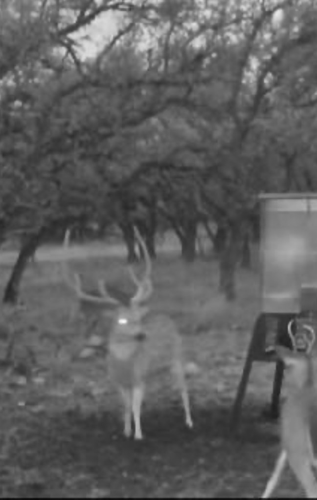 0 Stevens Ranch Road Harper, TX 78631 - Photo 24 of 31