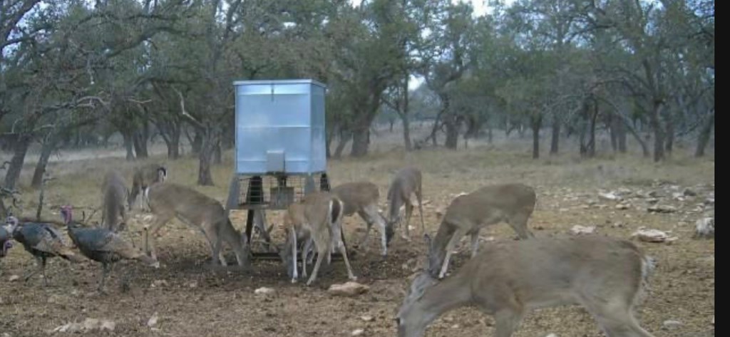 0 Stevens Ranch Road Harper, TX 78631 - Photo 27 of 31