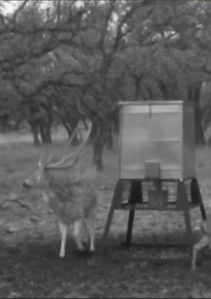 0 Stevens Ranch Road Harper, TX 78631 - Photo 28 of 31