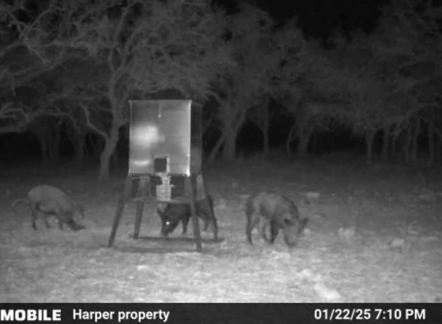 0 Stevens Ranch Road Harper, TX 78631 - Photo 30 of 31