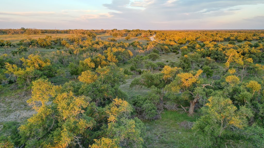 0 Stevens Ranch Road Harper, TX 78631 - Photo 8 of 31