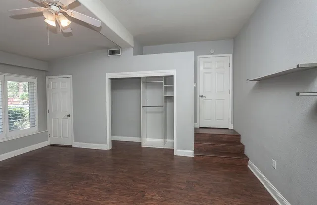 a view of a park with plants and a large tree
