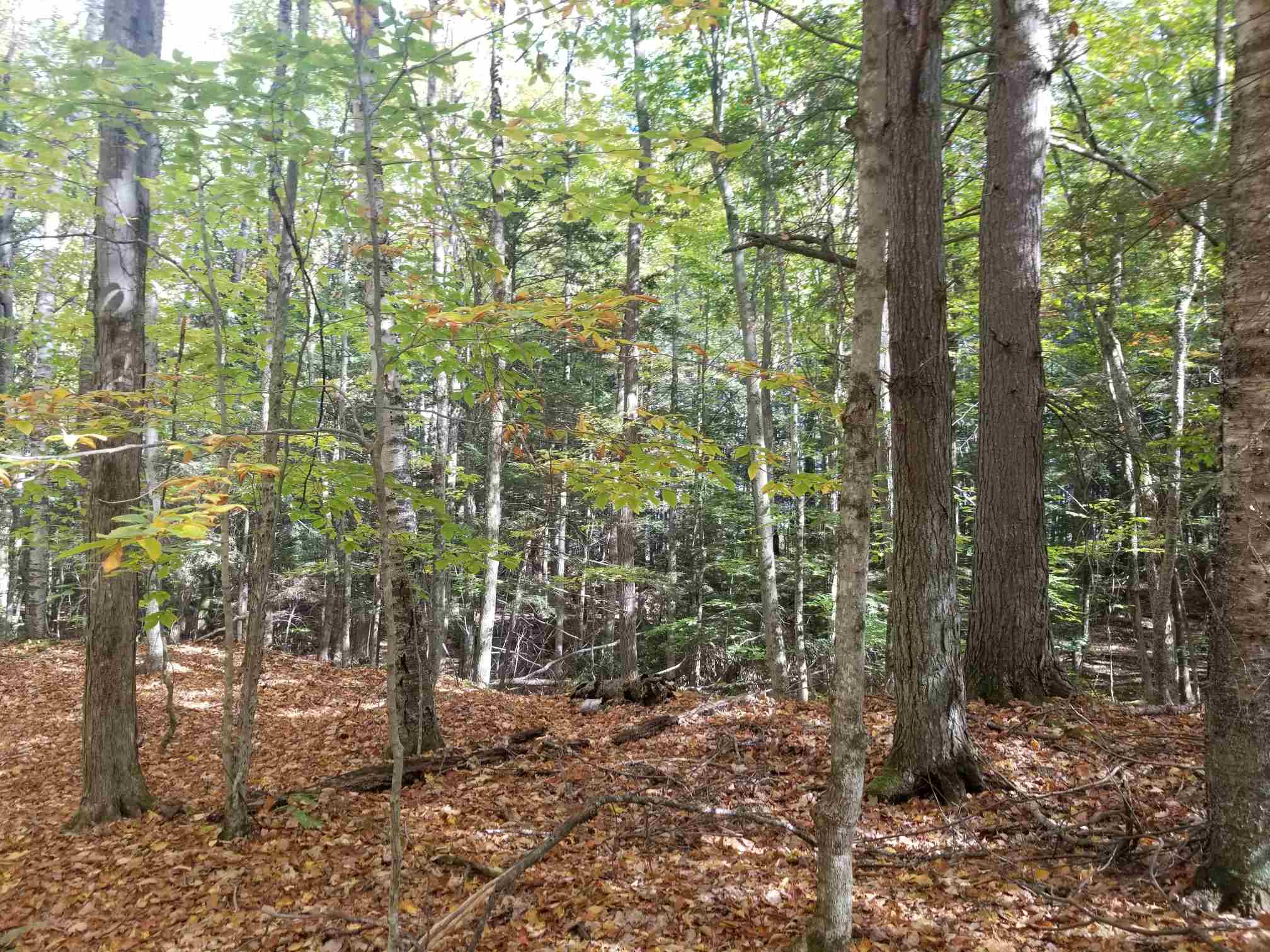 201 Upper Loveland Road Norwich, VT 05055 - Photo 2 of 4