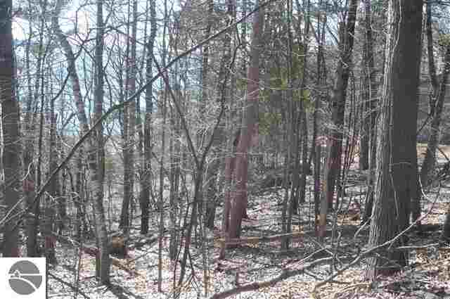 0 Spring Valley Beulah, MI 49617 - Photo 3 of 25